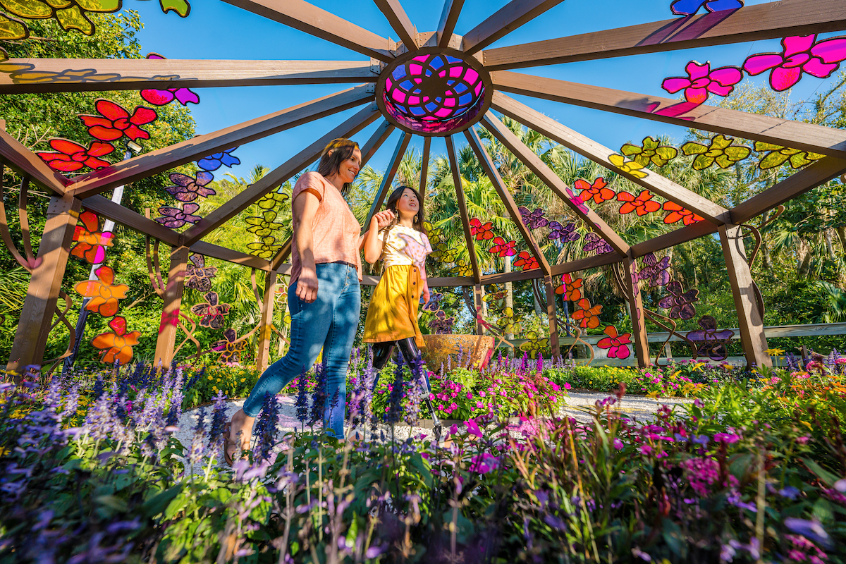Marie Selby Botanical Gardens in Sarasota Florida